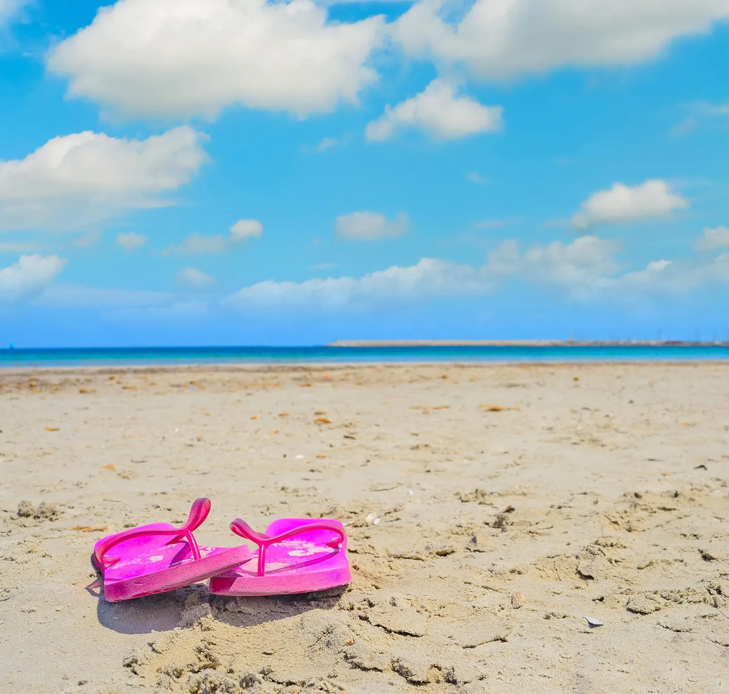 Trail maker 50 Pairs Bulk Flip Flops for Women Wedding Guests, Bnb Guests, Hotels, Pedicure Parties, and Charity Donation